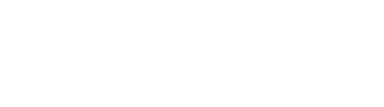 VNPT